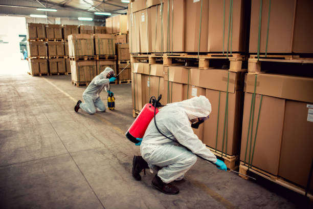 Pest Control Cost in Hutto, TX