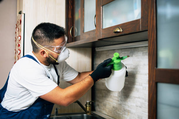 Best Pest Control Treatment  in Hutto, TX