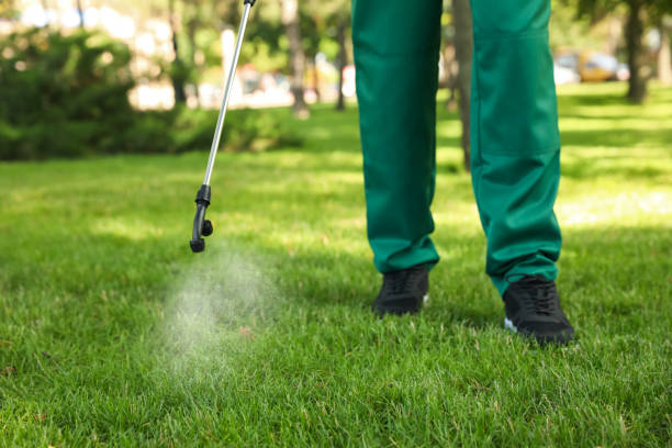Best Rat Extermination Near Me  in Hutto, TX
