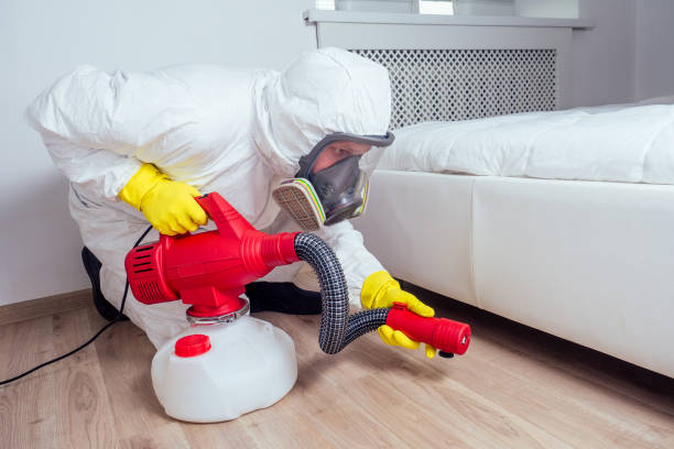 Trusted Hutto, TX Pest Control Experts