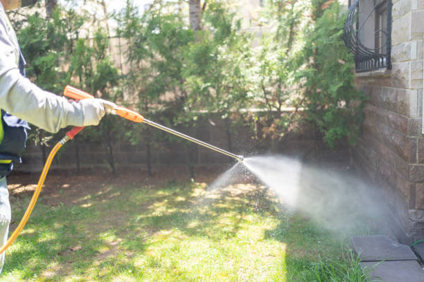 Best Spider Control Near Me  in Hutto, TX