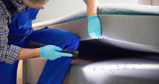 Best Pest Control Cost  in Hutto, TX