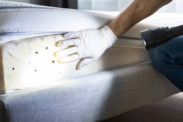 Hutto, TX Pest Control Company