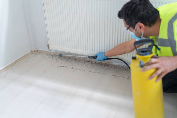Best Pest Prevention Services  in Hutto, TX