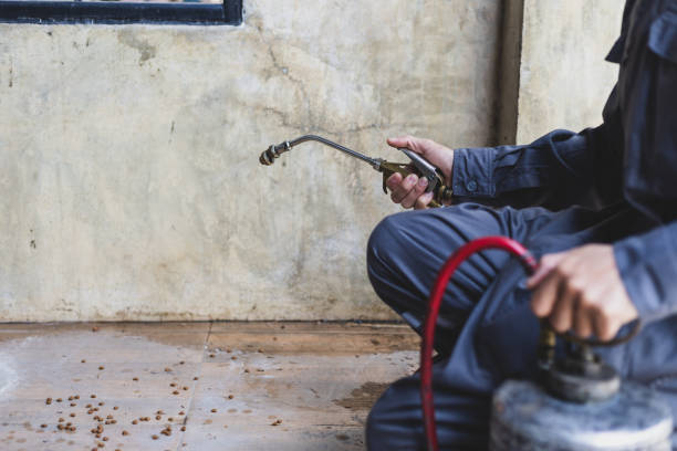 Best Commercial Pest Control Services  in Hutto, TX